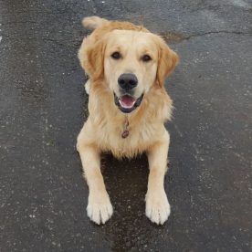 A Happy Mighty